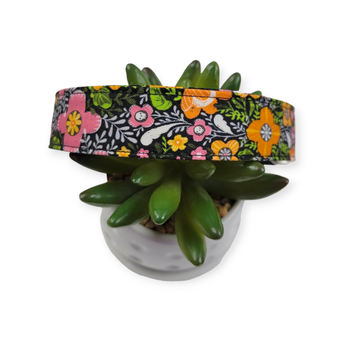 Pretty Creepy Dog Collar (Large)
