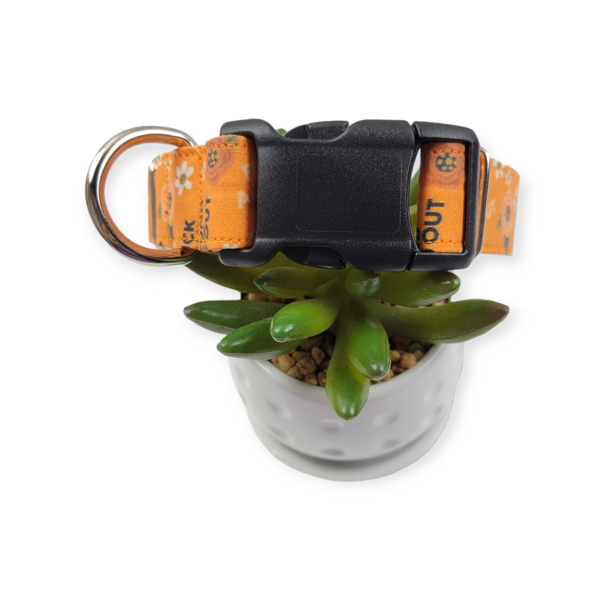 FAFO Orange Floral Dog Collar (Medium, 1" wide)