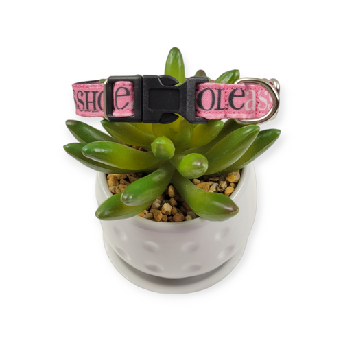 A$$hole on Pink Dog Collar (X-Small)