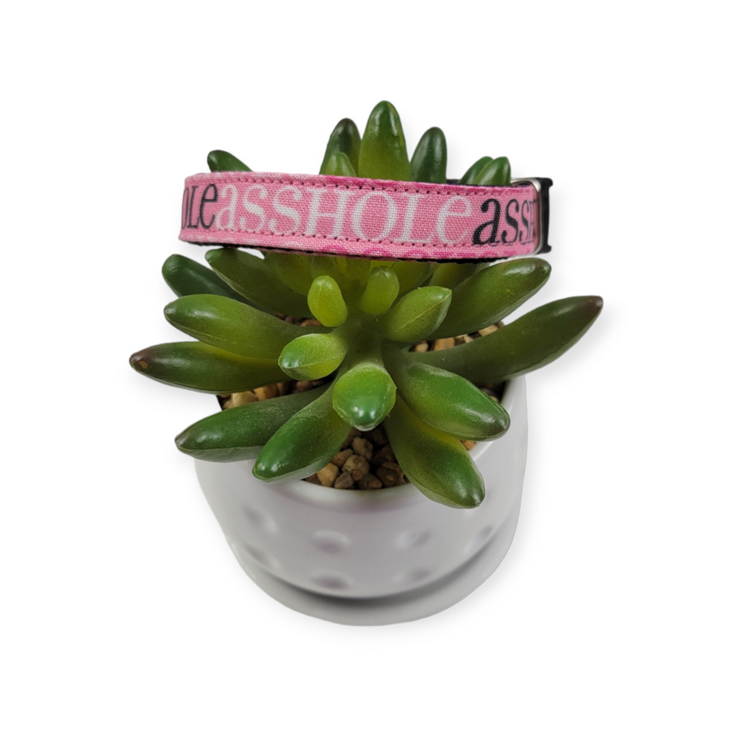 A$$hole on Pink Kitty Collar (XX-Small)