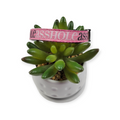 A$$hole on Pink Kitty Collar (XX-Small)