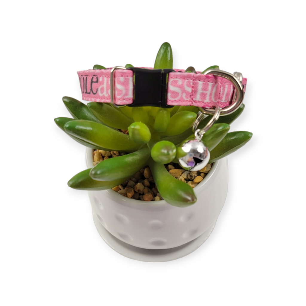 A$$hole on Pink Kitty Collar (XX-Small)