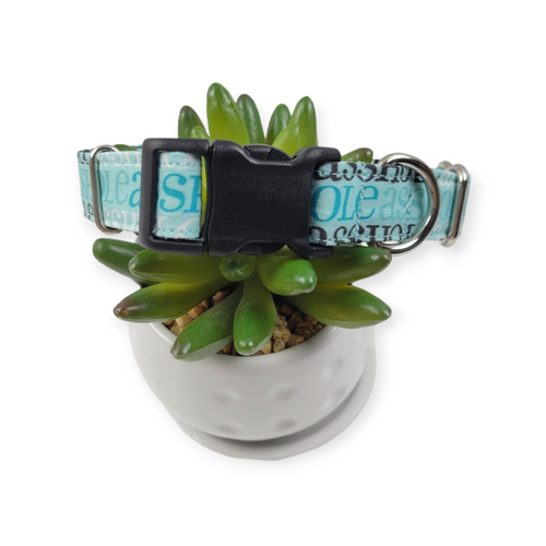 A$$hole on Aqua Dog Collar (Medium)