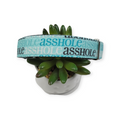A$$hole on Aqua Dog Collar (Large)