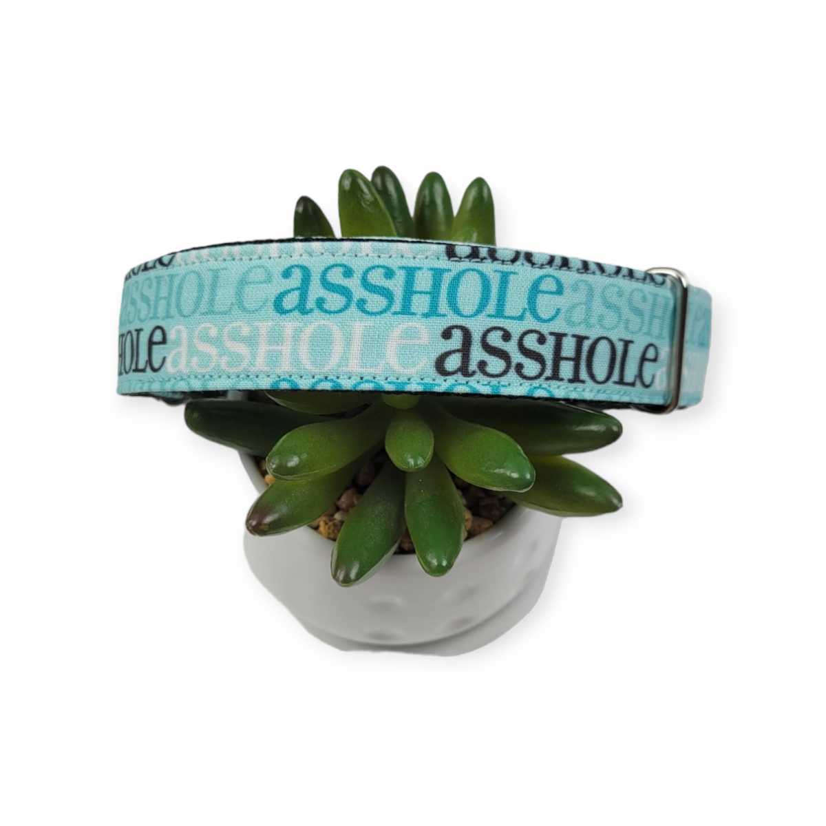 A$$hole on Aqua Dog Collar (Large)