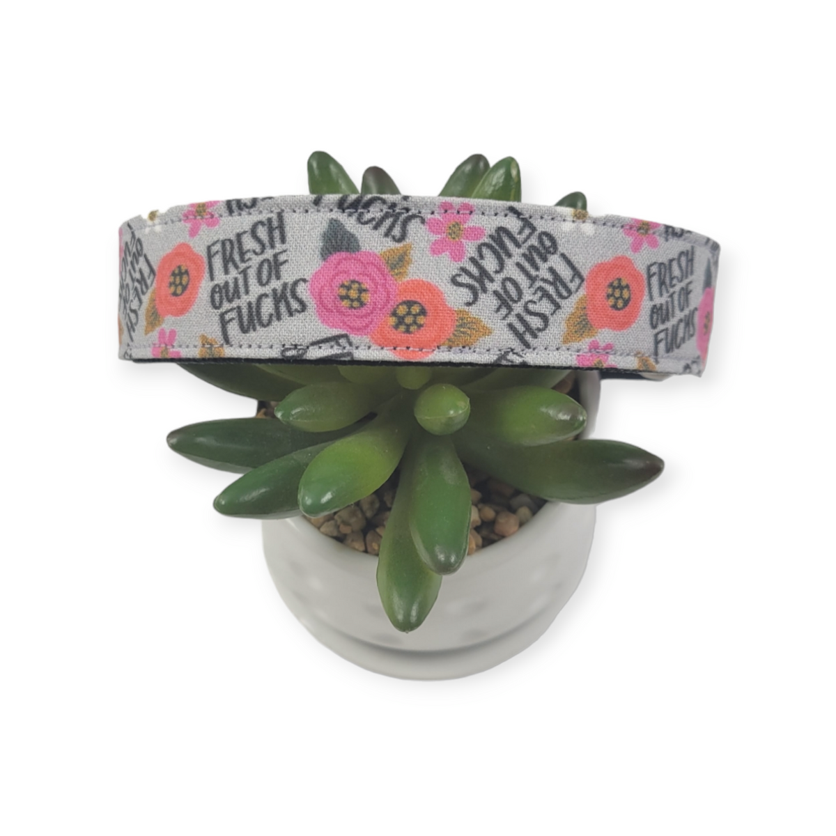 Fresh Out Of Fucks Dog Collar (Large)