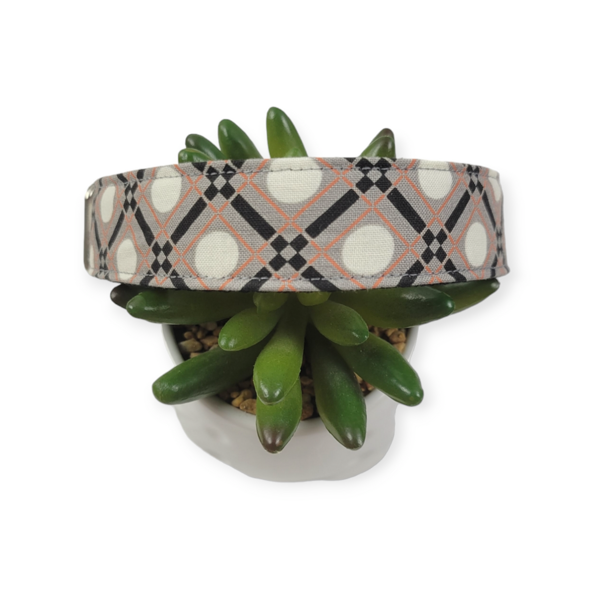 Spooky Plaid Dog Collar (Large)