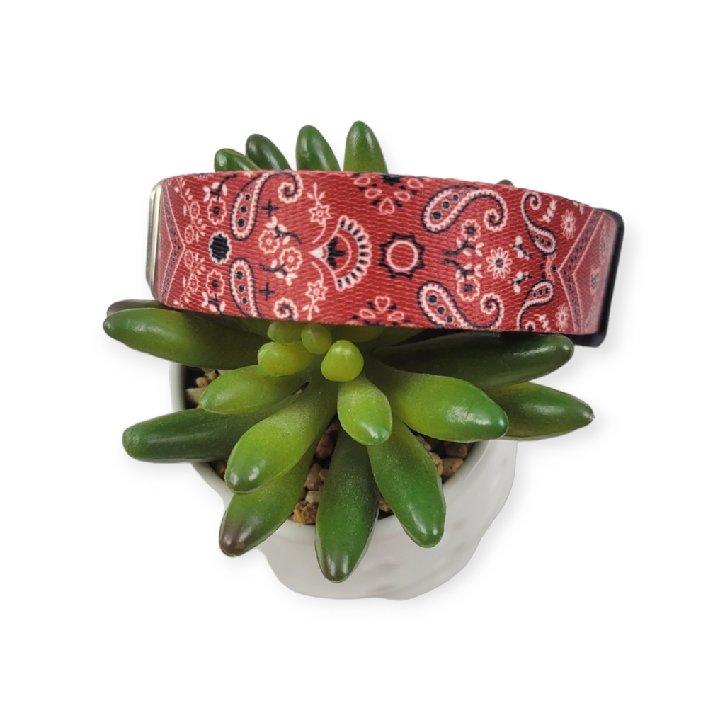 Red Bandana Dog Collar (Medium, 1" wide)