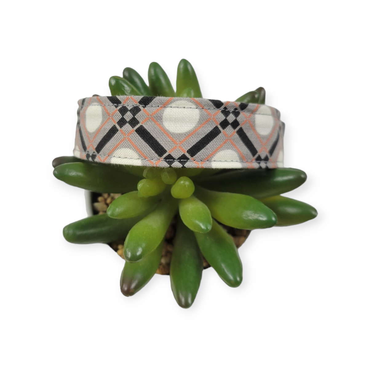 Spooky Plaid Dog collar (Medium)