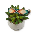 Sedona  Arrows Dog Collar (Small)