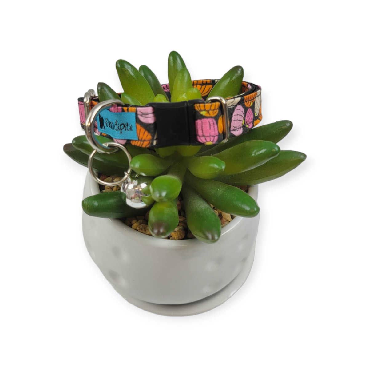 Pink Pumpkins Kitty Collar (X-Small)