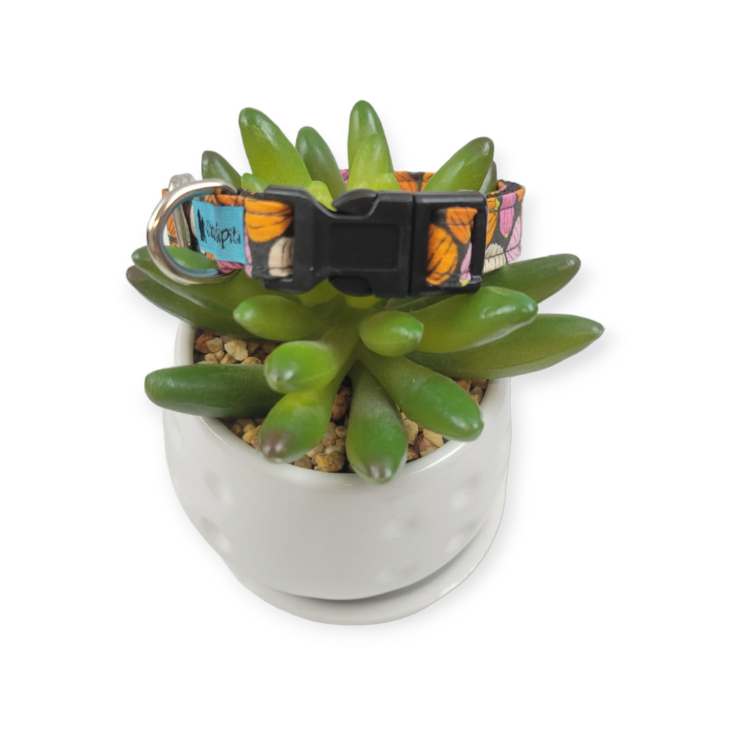 Pink Pumpkins Dog Collar (X-Small)