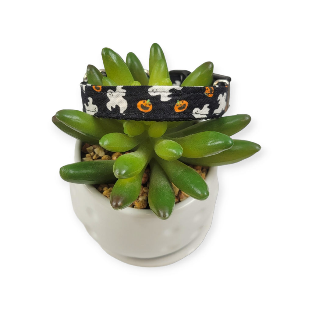 Ghosts & Pumpkins Dog Collar (X-Small)