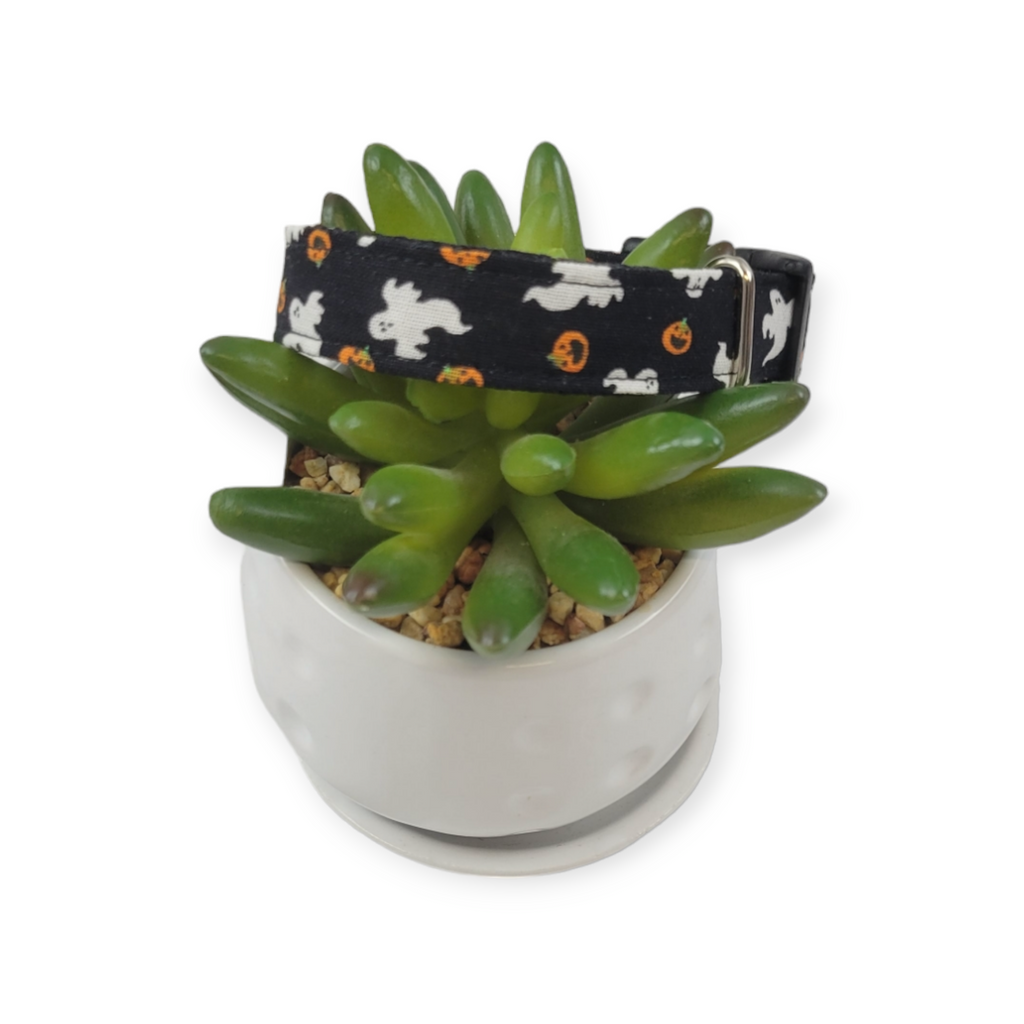 Ghosts & Pumpkins Dog collar (Small)