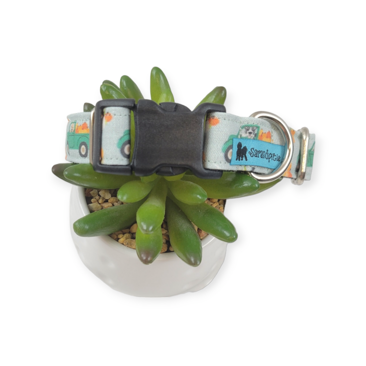 Pumpkin Trucks and Dogs Dog collar (Medium)