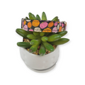 Pink Pumpkins Dog collar (Small)