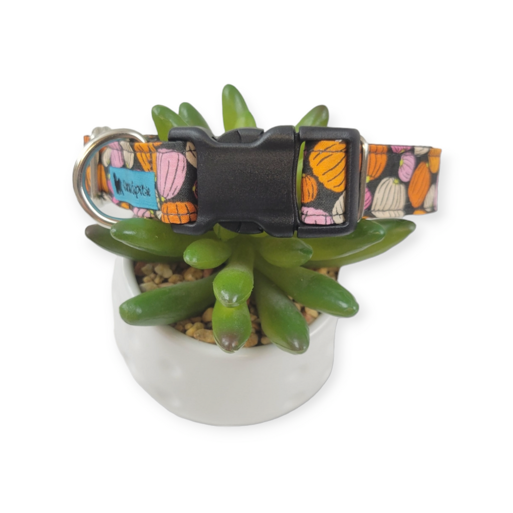 Pink Pumpkins Dog collar (Medium)