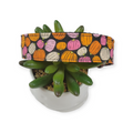 Pink Pumpkins Dog Collar (Large)