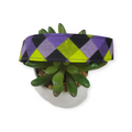 Purple & Lime Plaid Dog Collar (Large)
