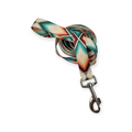 Sedona Arrows Leash (6')