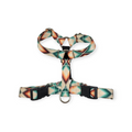 Sedona SureFit Harness (Small/Medium)