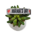 Mama's Boy Dog collar (Medium)