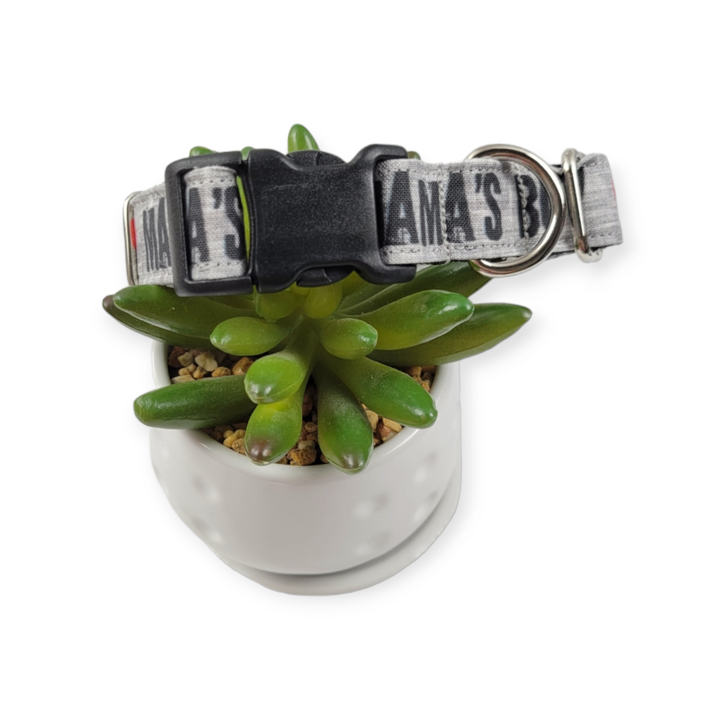 Mama's Boy Dog collar (Medium)