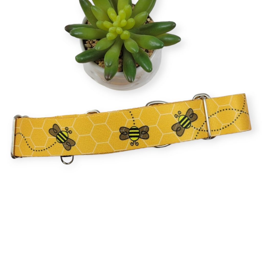 Busy Bee Martingale Dog Collar (Large, 1.5" wide)