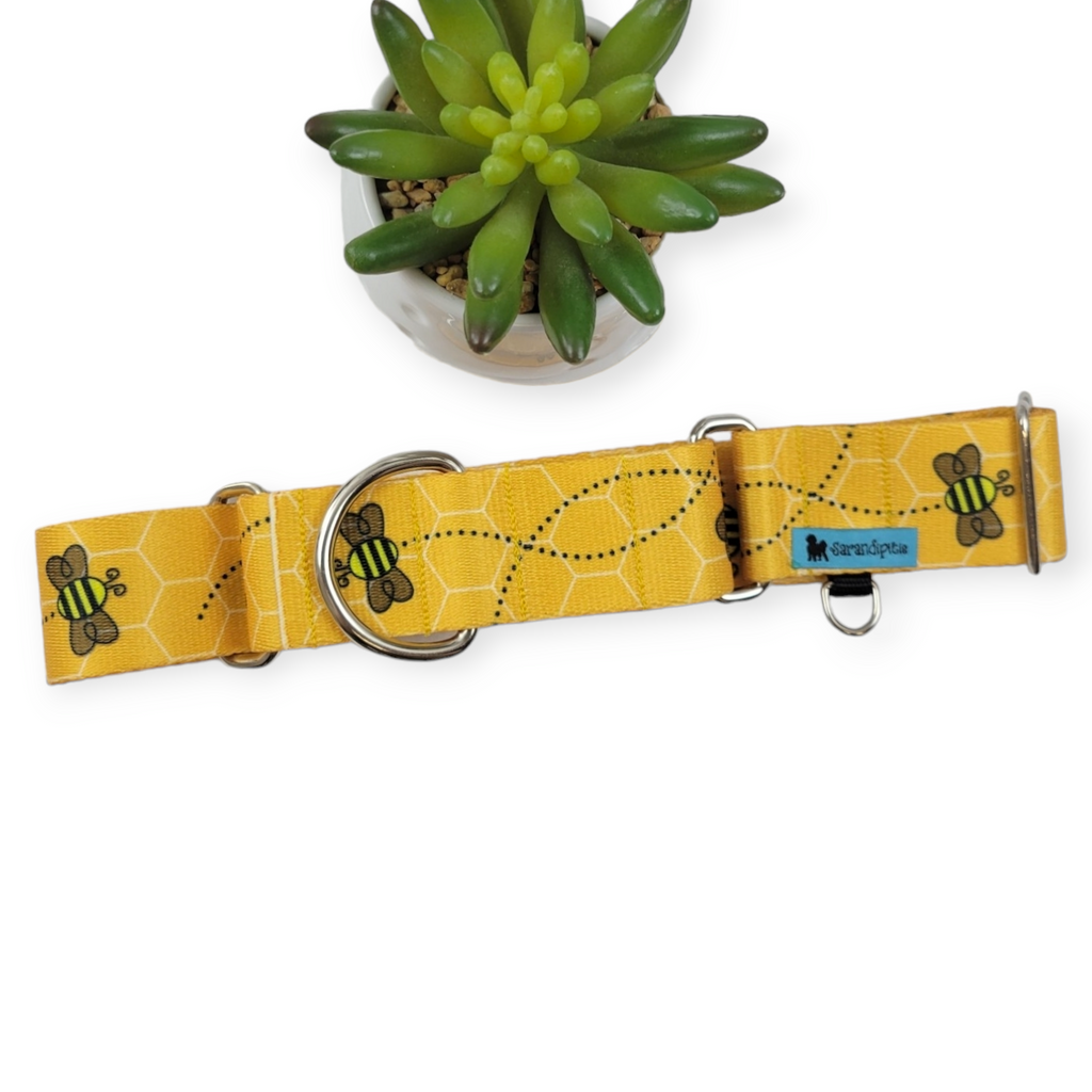 Busy Bee Martingale Dog Collar (Large, 1.5" wide)
