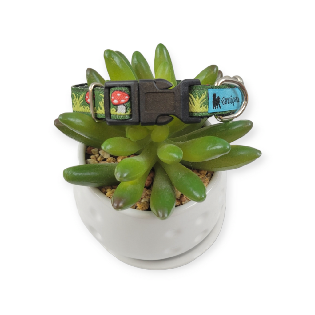 Mushrooms Dog Collar (X-Small)