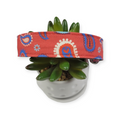 Red & Blue Paisley Dog Collar (Large)