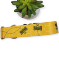Busy Bee Dog Collar (Large, 1.5" wide)
