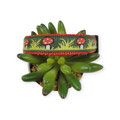 Mushrooms dog collar (Medium)