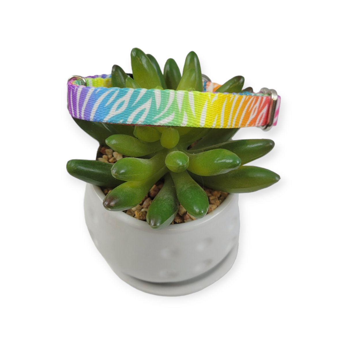 Rainbow Zebra Kitty Collar (XX-Small)