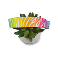Rainbow Zebra Dog Collar (Large)