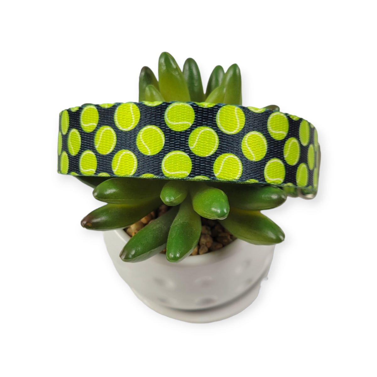 Tennis Balls Dog Collar (Medium, 1" wide)
