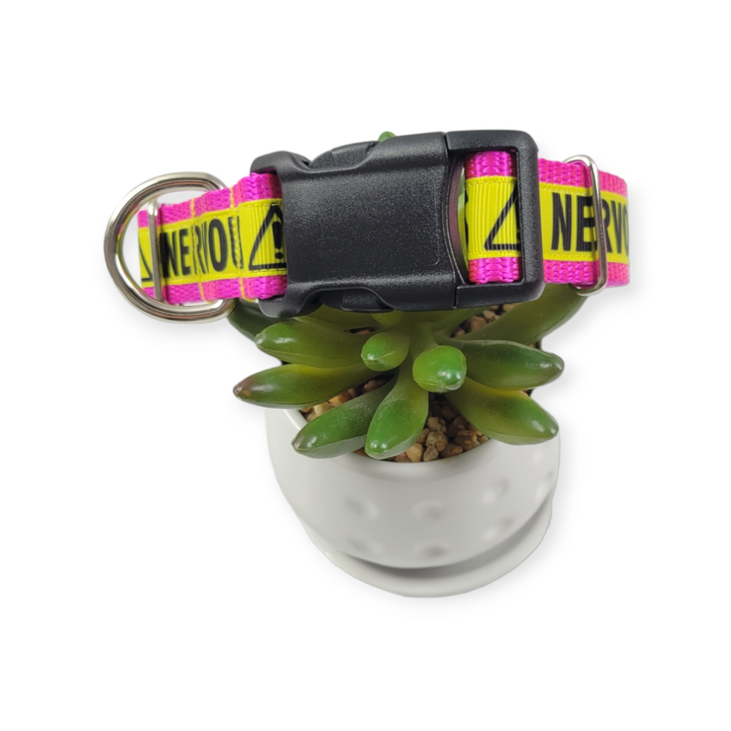 Nervous on Razzberry Dog Collar (Medium, 1" wide)