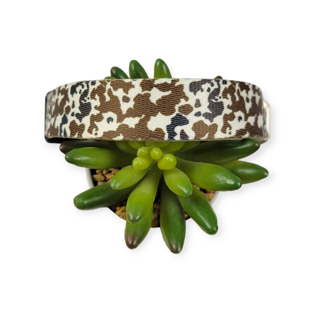 How Now Brown Cow? Dog Collar (Large)