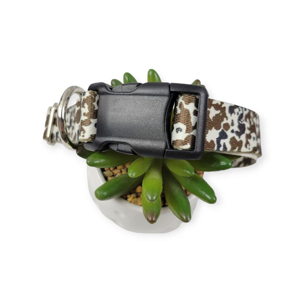 How Now Brown Cow? Dog Collar (Medium, 1" wide)