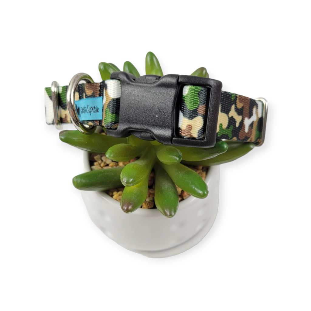 Camo Bones Dog Collar (Medium)
