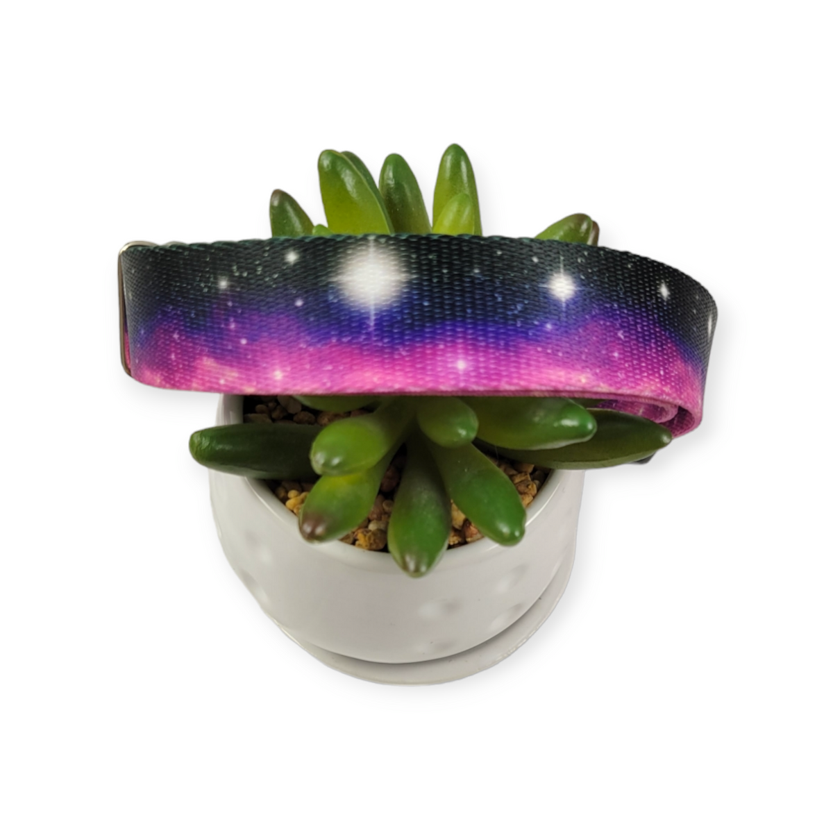 Heavenly Space Dog Collar (Large)