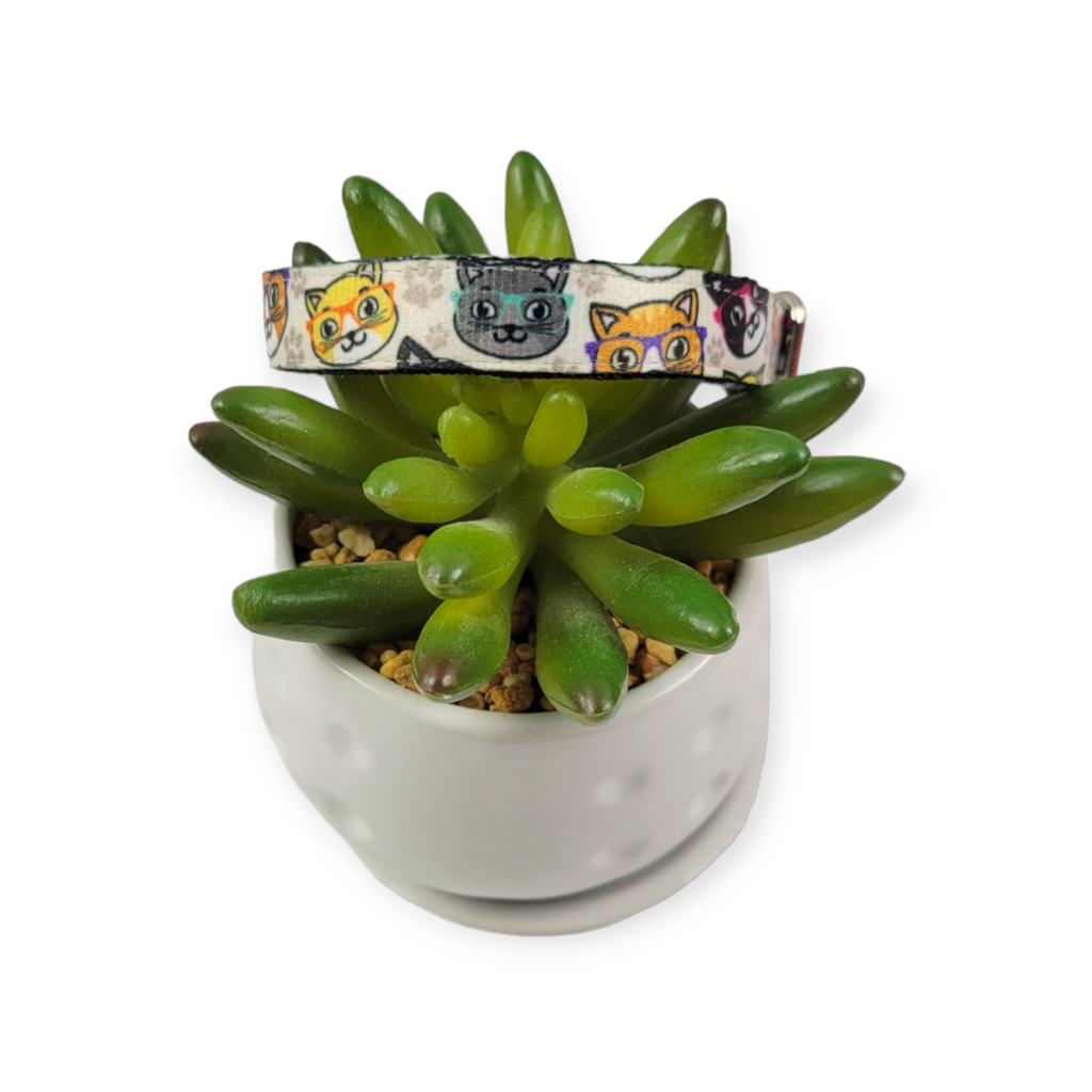 Whisker Wise Kitty Collar (X-Small)