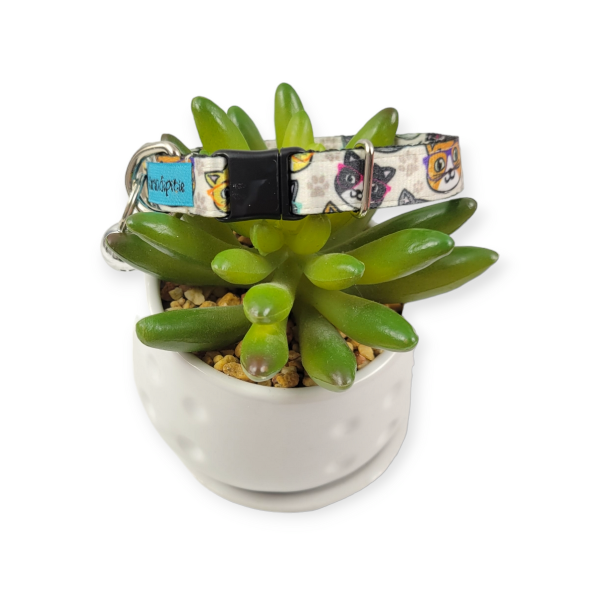 Whisker Wise Kitty Collar (X-Small)