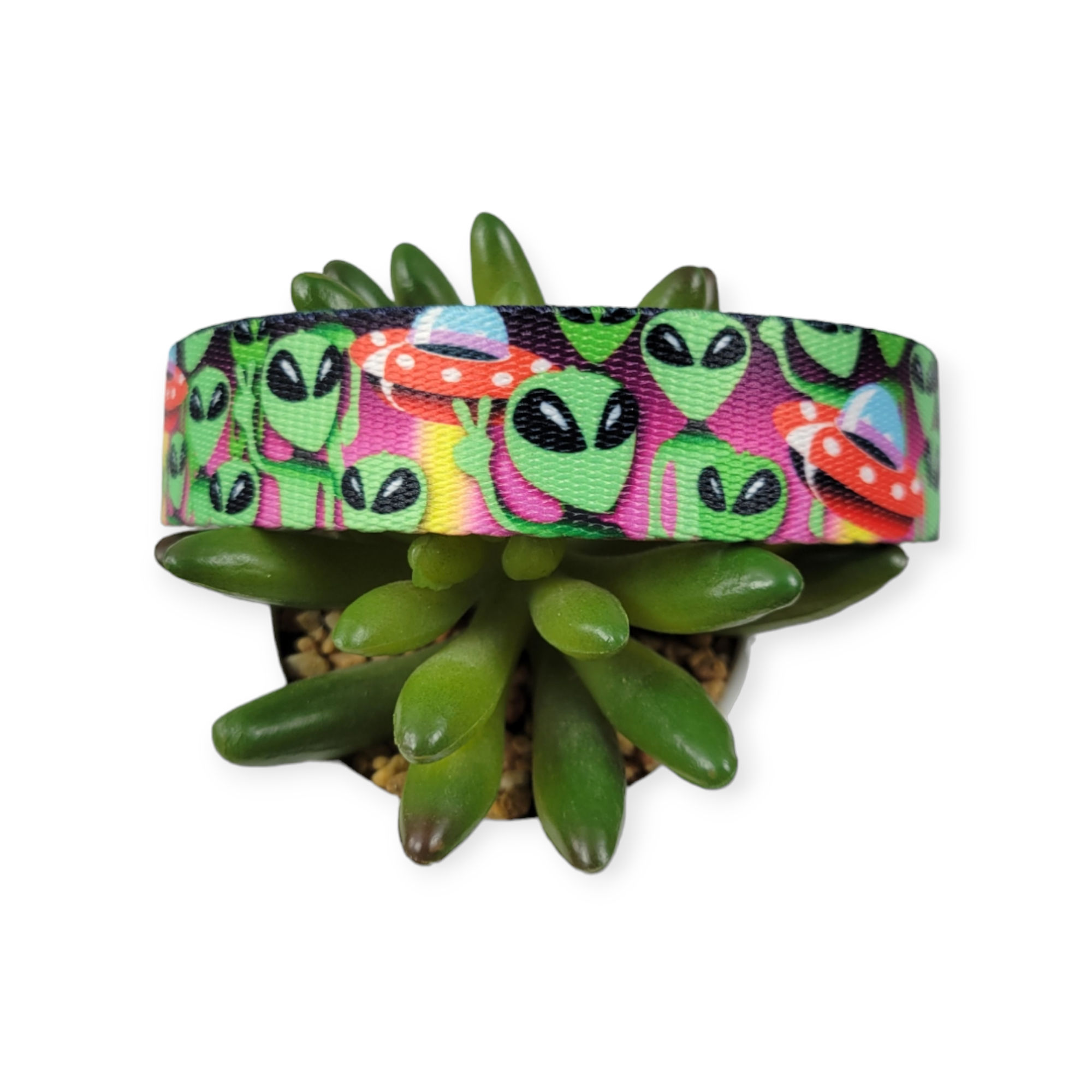 Space Aliens Dog Collar (Large)