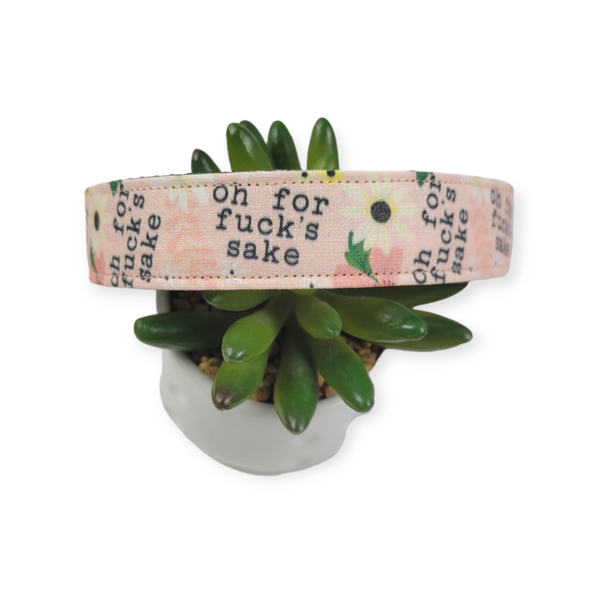 For Fucks Sake Dog Collar (Large)