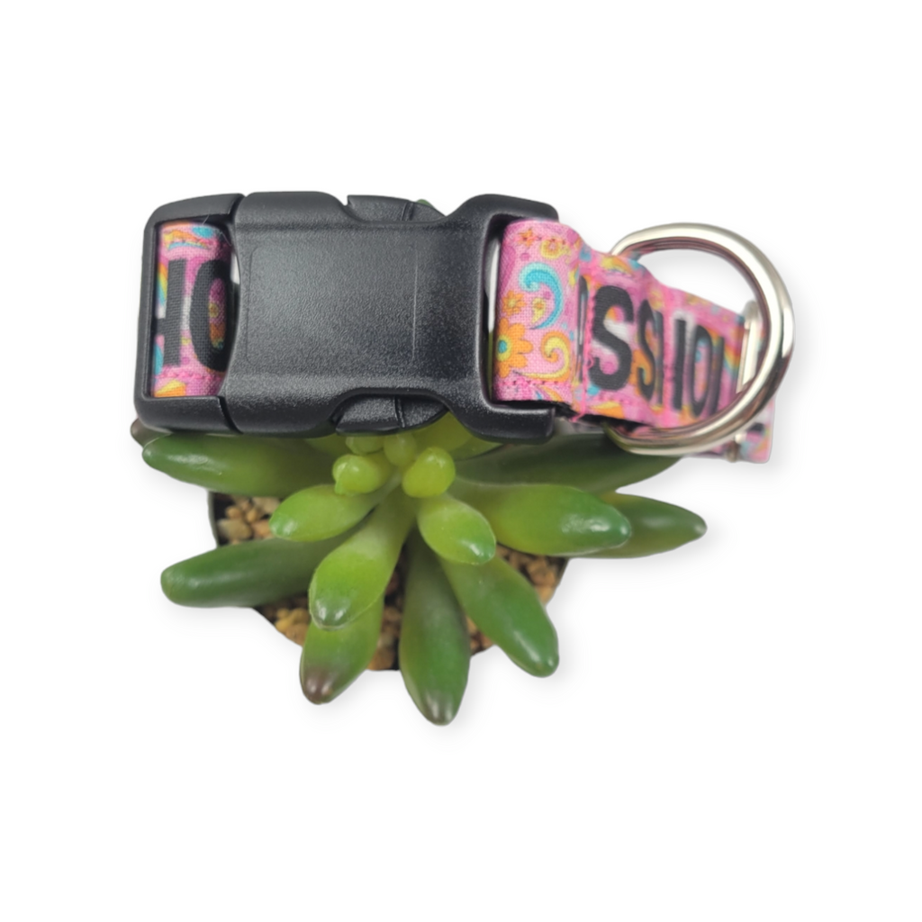 A$$Hole Doodle Dog Collar (Medium, 1" wide)