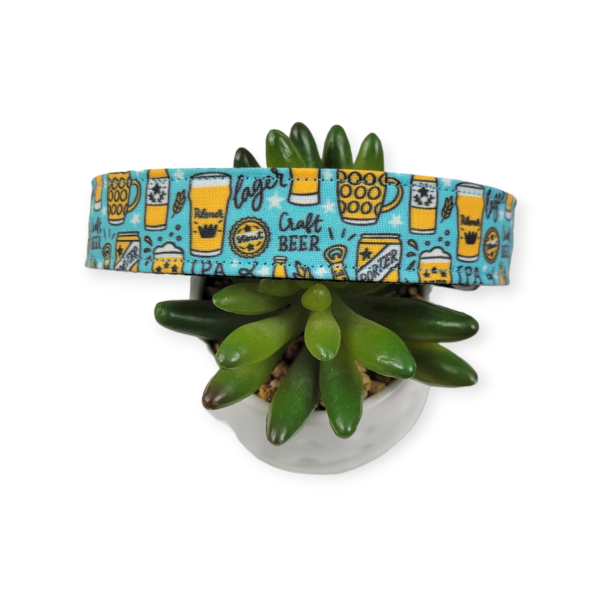 Beer on Aqua Dog collar (Large)