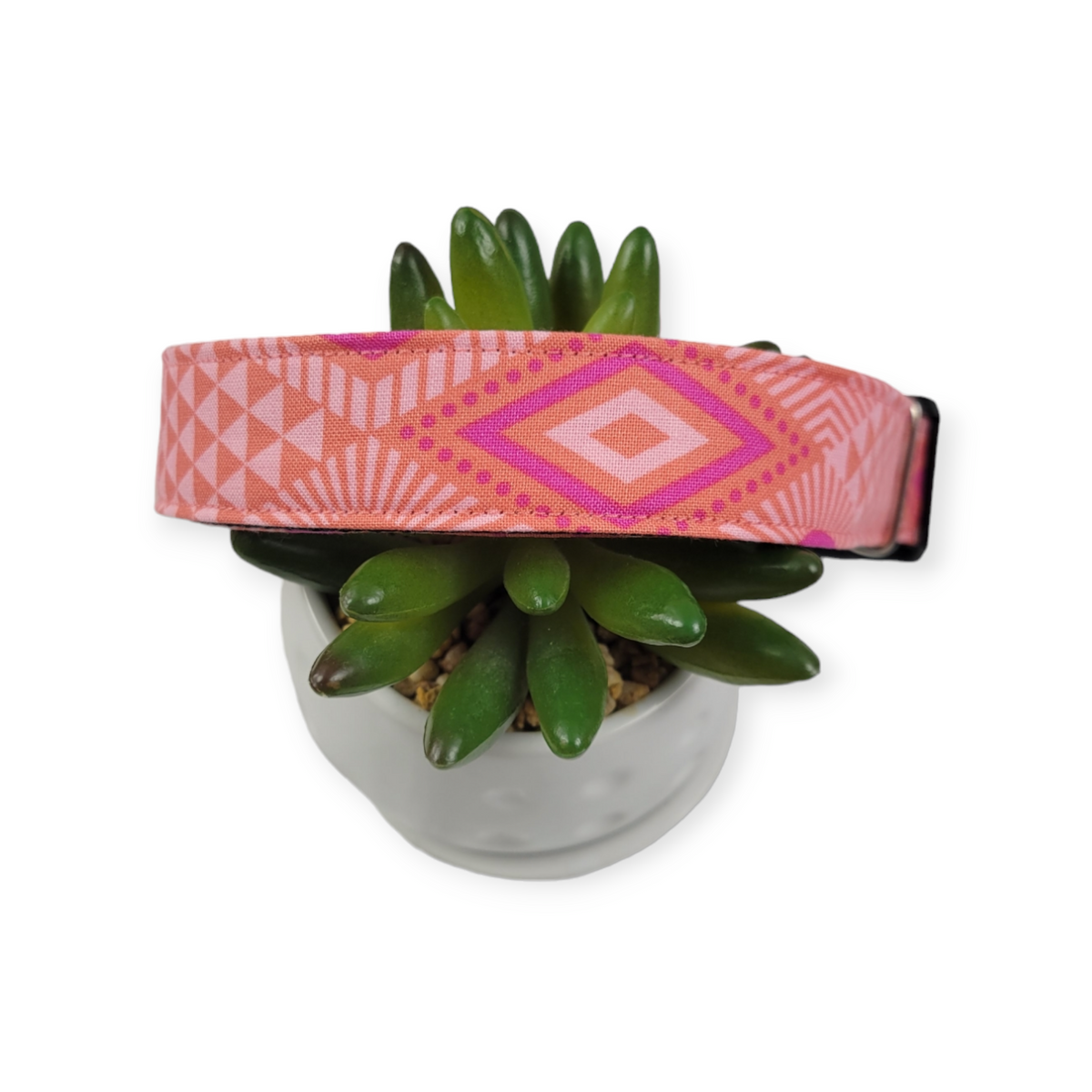 Coral Tabby Road Dog collar (Large)