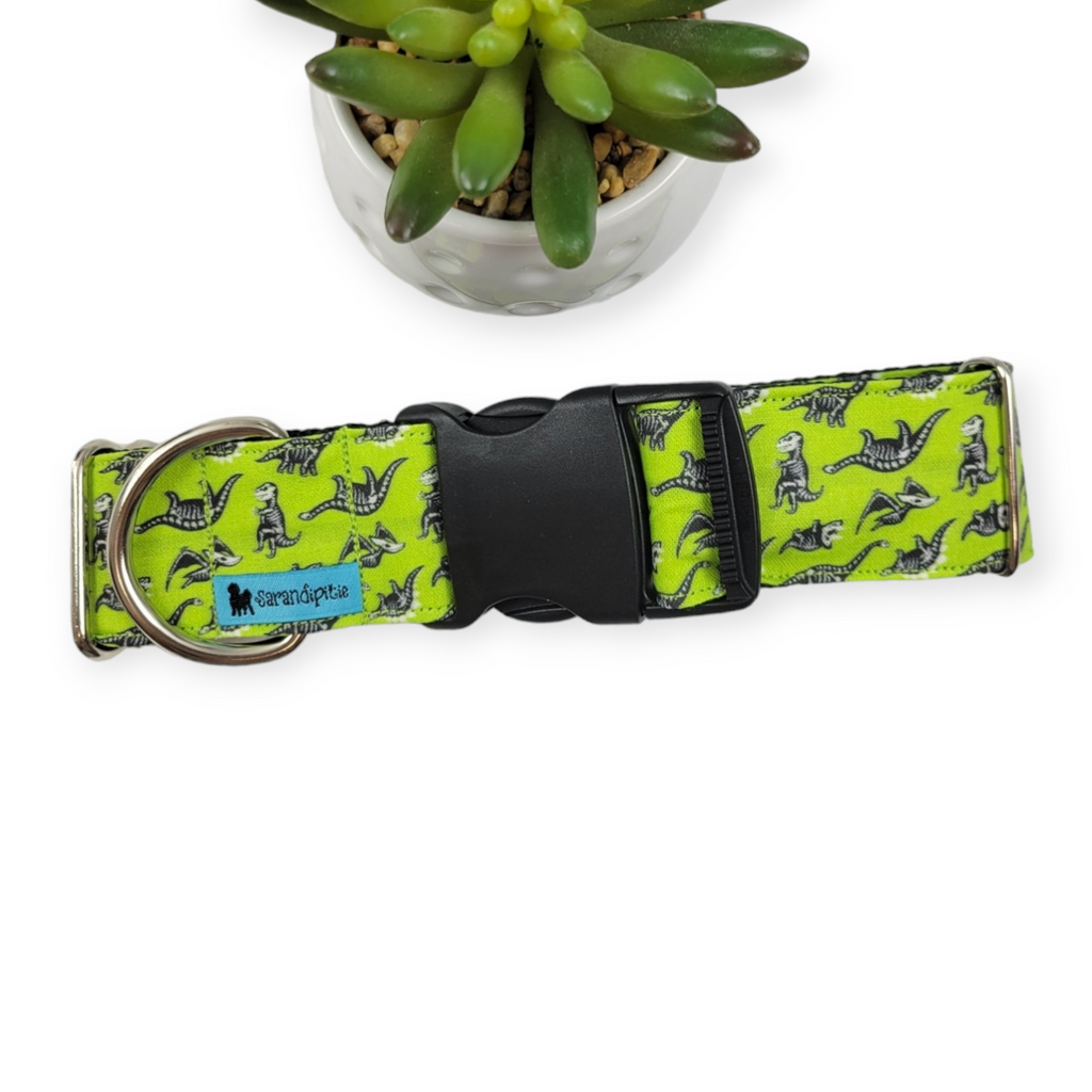 Dinosaur Skeletons Dog Collar (Large, 1.5" wide)
