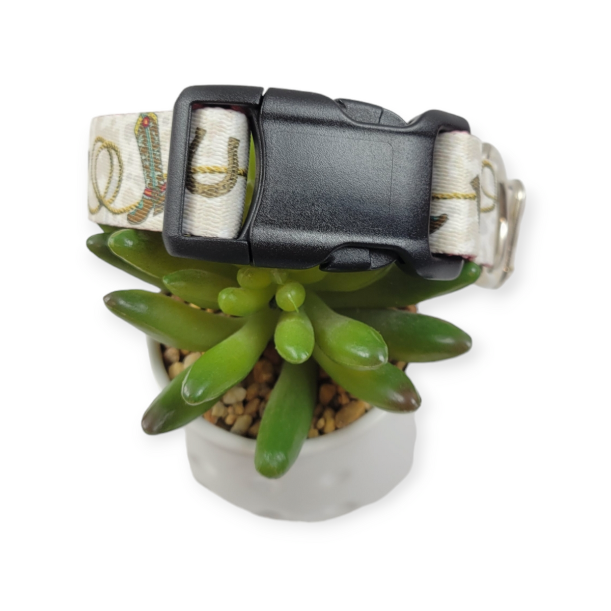 Cowboy Up Dog Collar (Medium, 1" wide)